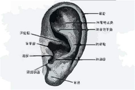 耳朵痣男 買床要看日子嗎